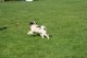 Thumbs/tn_Bild-01 035.jpg